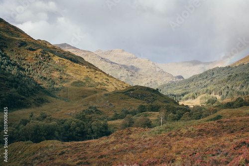 Scenic view of rolling hills covered in blooming purple heather, Scottish Highlands