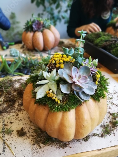 Finished pumpkin succulent centerpiece on craft table with workshop scene in background