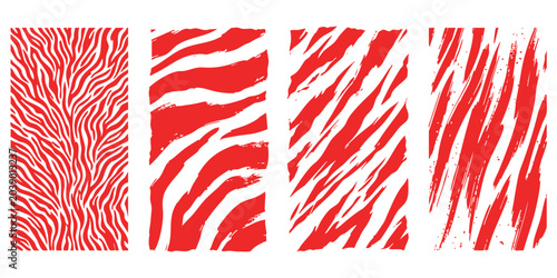 Set of four abstract red and white tiger stripe patterns for creative graphic design and modern background textures