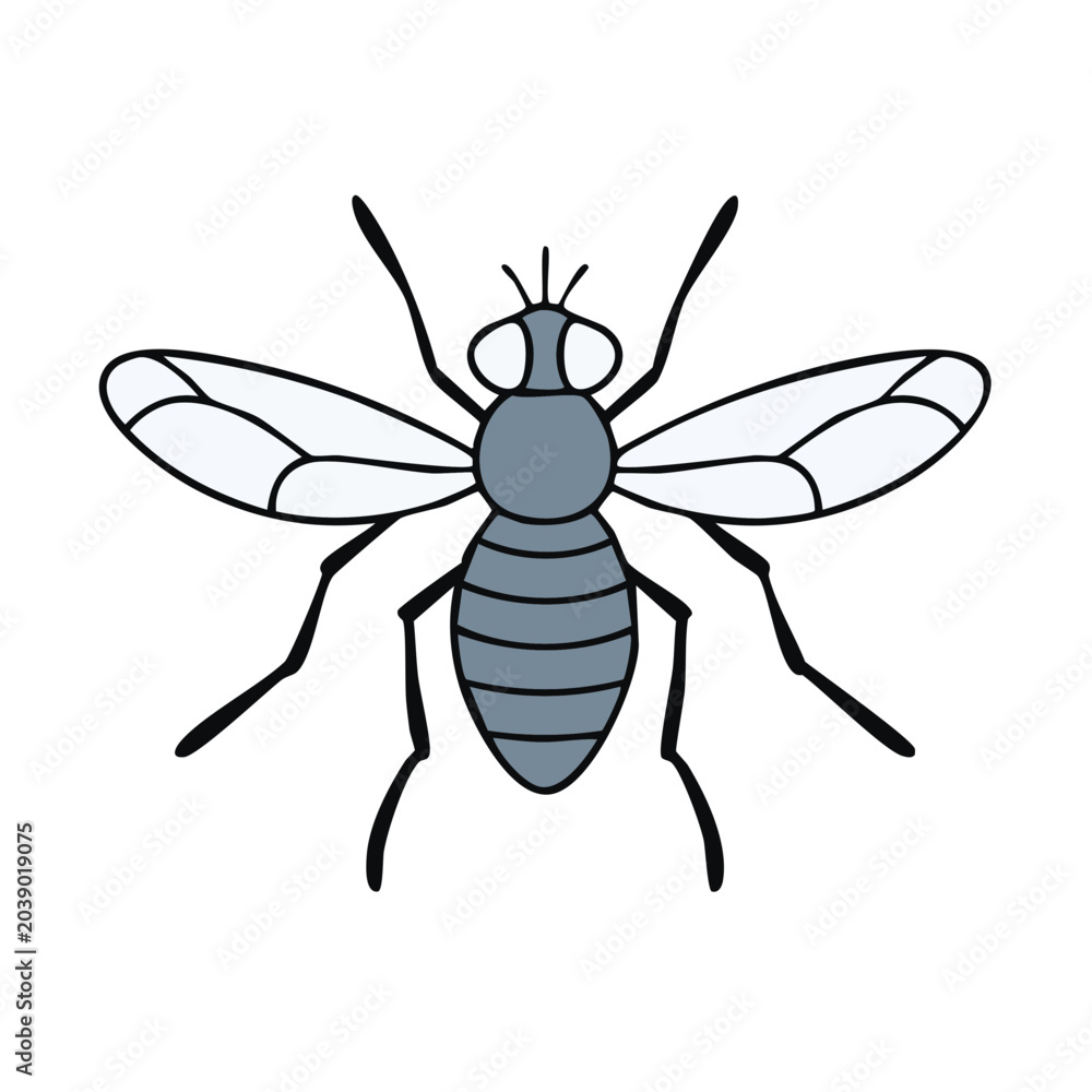 Fototapeta premium Simple illustration of a stylized gray insect with transparent wings and six legs