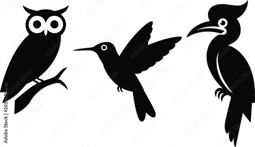 Obraz premium Bird Silhouette Collection Featuring Owl Hummingbird and Hornbill Wildlife Illustrations