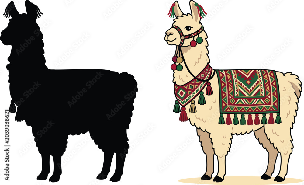 Fototapeta premium Fluffy alpaca llama wearing a traditional colorful decorative peruvian harness and blanket standing beside a solid black silhouette shape for side by side viewing.