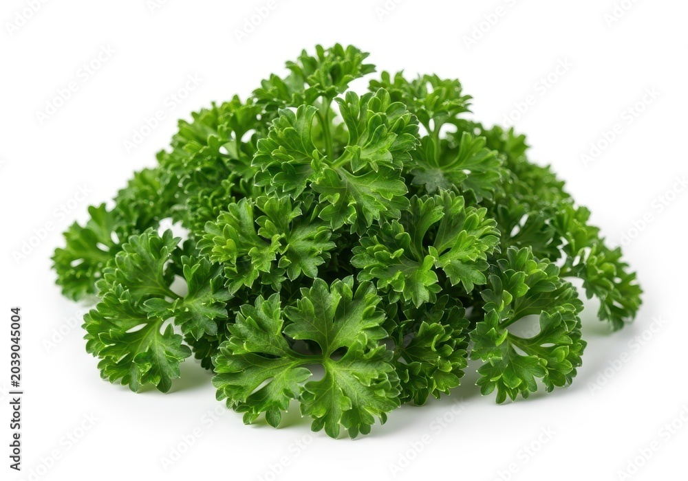 Fototapeta premium Vibrant fresh curly parsley leaves piled high, ready for chopping and seasoning, emphasizing natural flavor and herbal vitality, aromatic, summer, ingredient