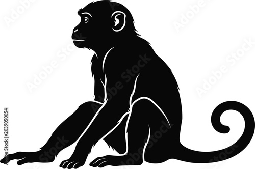 Photography Sitting monkey side profile black silhouette icon isolated on plain white backgr