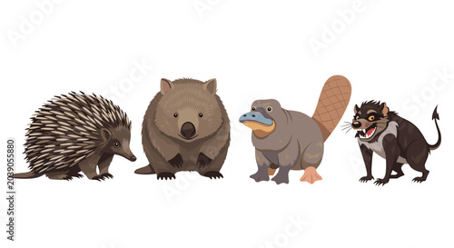 Collection of unique Australian wildlife featuring an echidna, wombat, platypus, and Tasmanian devil isolated on a clean white background.