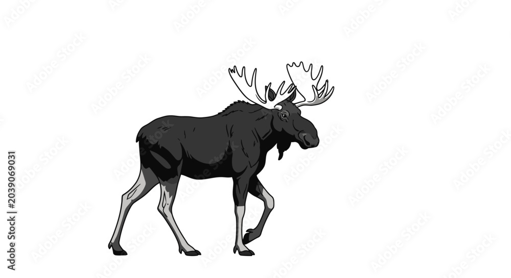 Fototapeta premium Bull moose walking mascot illustration on white background