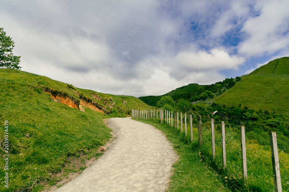 Fototapeta premium Curving Gravel Path Through Lush Green Hills