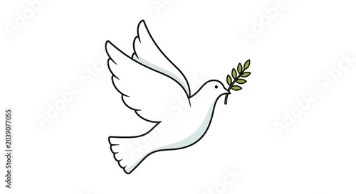 Konstfotografi White Dove with Olive Branch