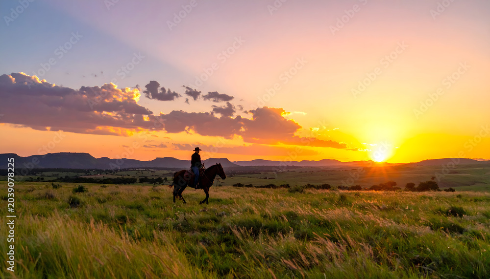 Fototapeta premium Person rides horse across vast grassy field at sunset