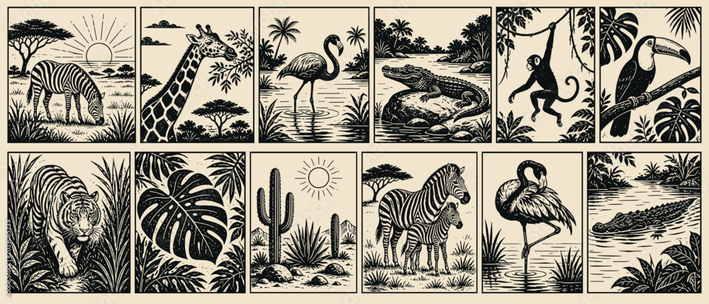 Obraz premium Vintage wildlife illustrations of African and jungle animals in natural habitats