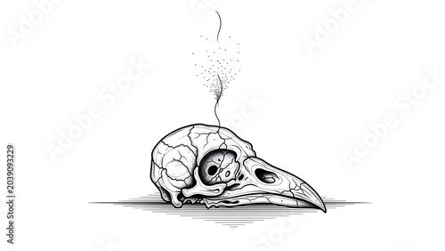Skull with exhaling vapor, transparent background, isolated on a, transparent background, bird, skull skeletal, transparent background