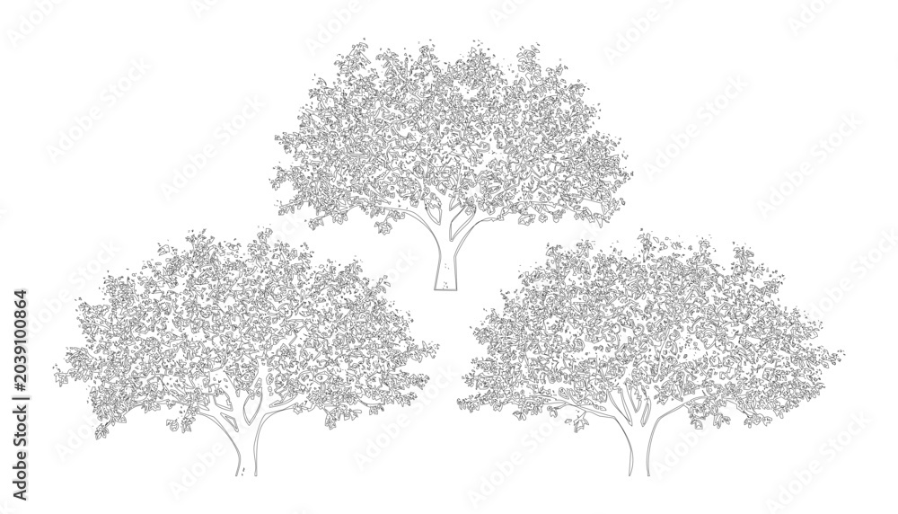 Fototapeta premium Set of hand drawn architectural trees outline sketch