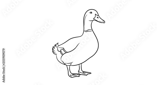 Schilderij op canvas A duck standing on the ground.
