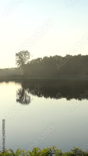 Vertical Cinematic View of Peaceful Lake Surrounded by Nature