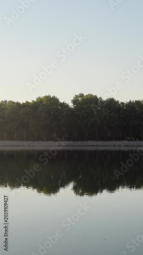 Vertical Cinematic View of Peaceful Lake Surrounded by Nature