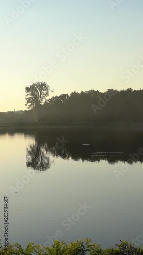 Scenic Vertical Nature Footage with Calm Lake and Green Forest
