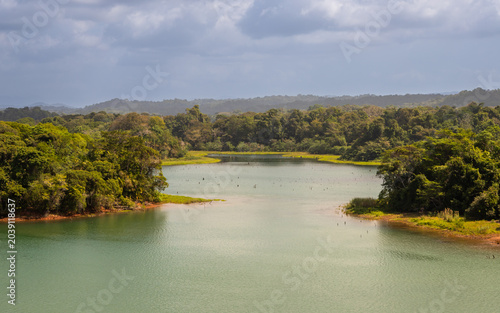 Exposure of the biodiversity present along the shores of the Gatun Lake, the freshwater artificial lake to the south of Colon, Panama, big part of the Panama Canal