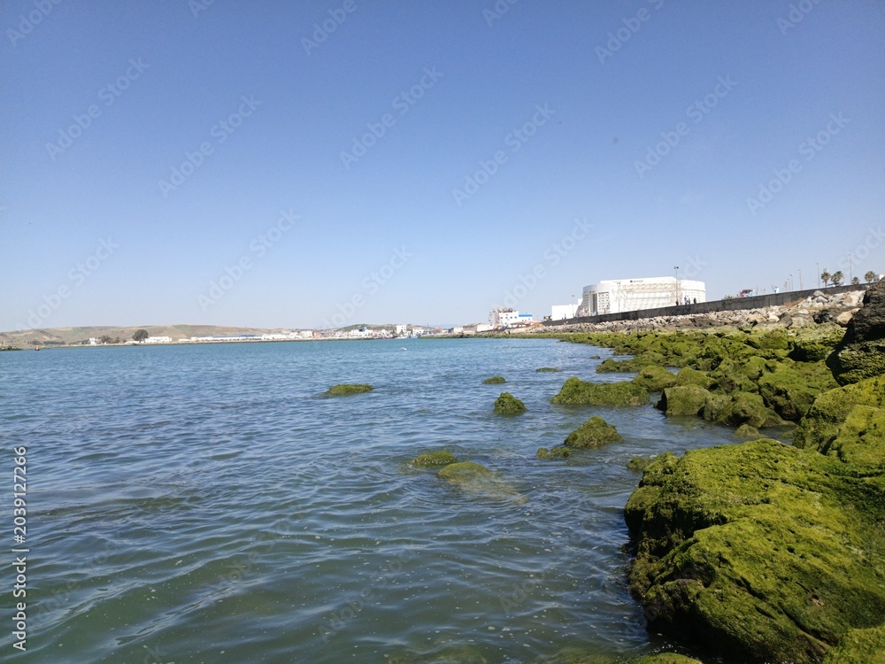 Obraz premium Green Algae Rocks and Calm Waters with Industrial Harbor View