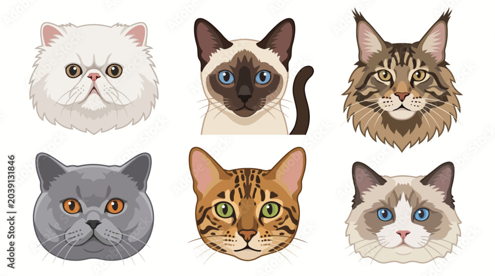 Fototapeta premium A collection of six adorable cat faces with different colors and patterns looking directly at the viewer on a simple background.
