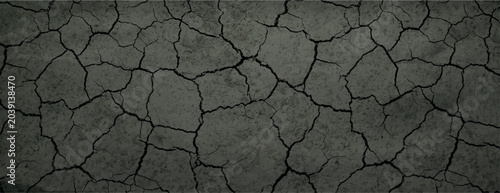 Tableau sur toile Vector illustration of cracked, dry earth texture in grayscale.