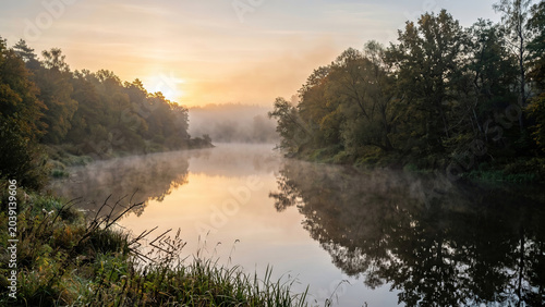 Serene Misty Sunrise Over Calm Forest Lake with Reflections and Tranquil Atmosphere