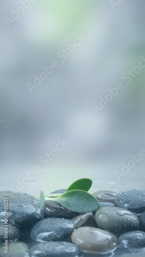 Wet stones and green leaves with soft vertical copy space