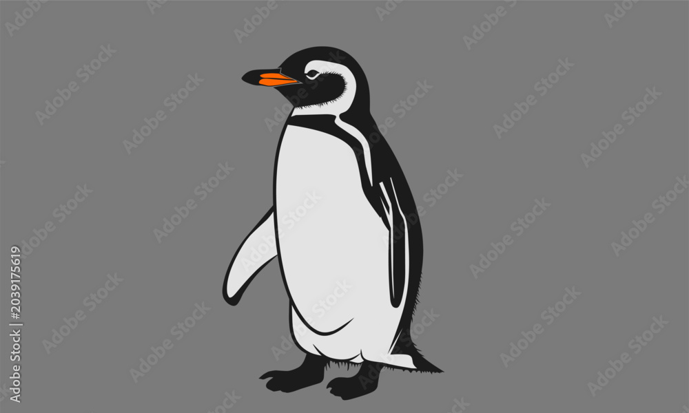 Fototapeta premium penguin vector illustration