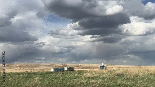 Beehives on a Rural Farm with Agricultural Fields