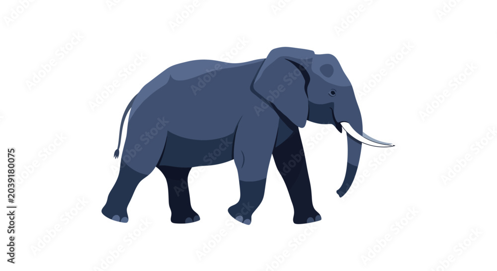 Fototapeta premium Large Gray Elephant Walking Forward Slowly.