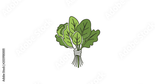 Cuadro en lienzo Fresh Green Leafy Vegetable Bunch.