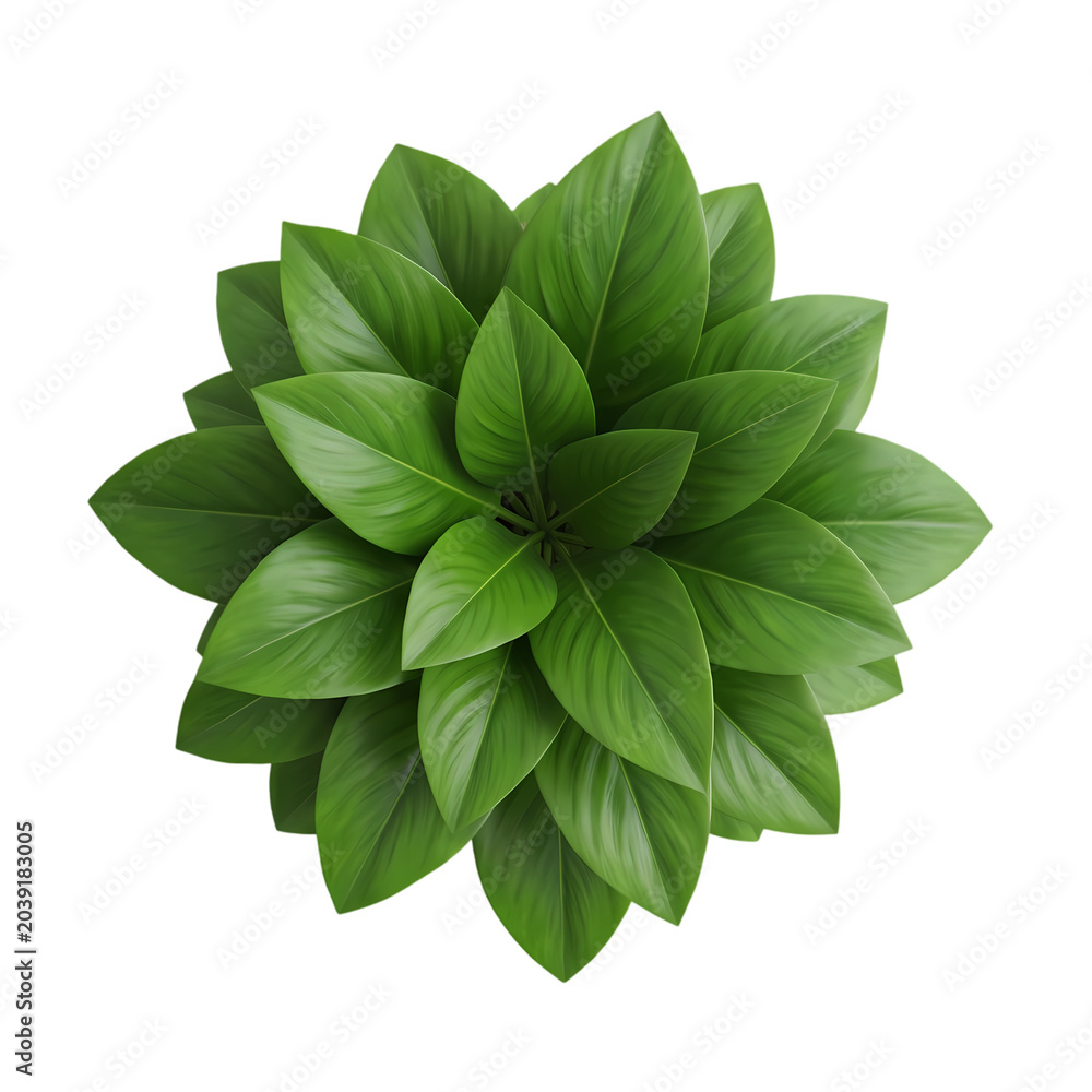 Fototapeta premium Top View of Lush Green Plant Leaves