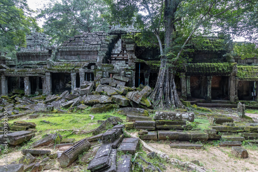 Naklejka premium Ancient stone ruins of Ta Prohm temple, overgrown with moss and trees, in Siem Reap, Cambodia.