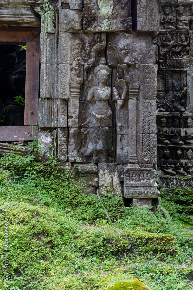 Fototapeta premium Ancient stone carvings of apsaras and deities adorn the weathered walls of Ta Prohm temple in Siem Reap, Cambodia, showcasing intricate Khmer artistry.