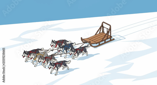 Photography dogs pulling a sled in the snow.