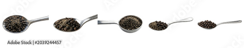 Cuadro en lienzo Black Peppercorns in Spoons: Collection of Spices and Seasoning Ingredients Isol