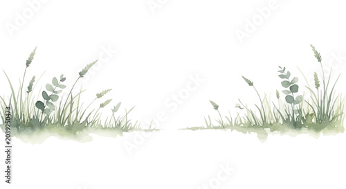 watercolor natural grass and plant illustration with delicate leaves on white perfect for serene botanical border designs