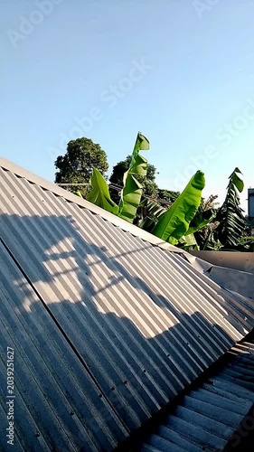 solar panels on roof