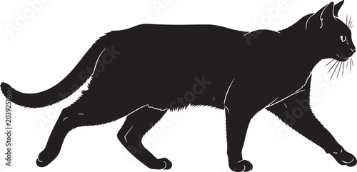 Photography Black cat walking to the right with white outline details on a plain background