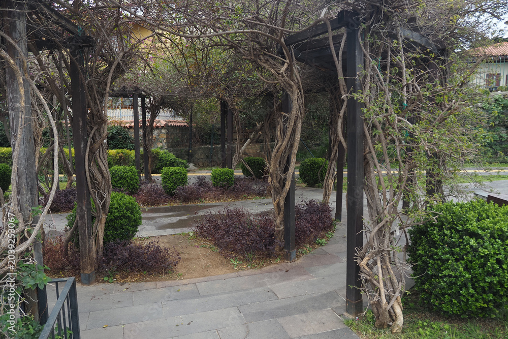 Fototapeta premium Pathway surrounded by plants in a garden setting
