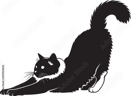 Fotografía black and white silhouette of a fluffy long-haired cat sitting and looking forwa