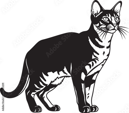 Fotografia sleek black and white minimalist silhouette of a sitting egyptian mau cat with s