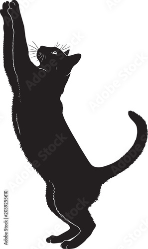 Photos black silhouette cat stretching upwards with one paw raised in a playful pose