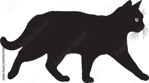 Φωτογραφία black silhouette cat standing on hind legs with fluffy tail raised in minimalist