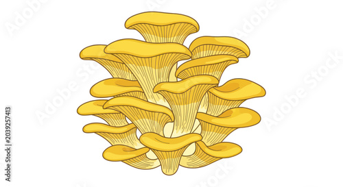 Fényképezés Yellow Mushrooms Growing in Cluster.