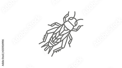 Φωτογραφία Cricket insect outline illustration for coloring and design.