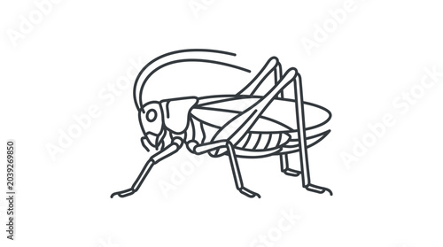 Foto Cricket insect profile line art