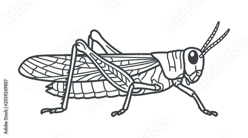 Konstfotografi Detailed grasshopper line art illustration for coloring