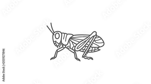 Tableau sur toile Minimalist grasshopper insect line art icon on white background
