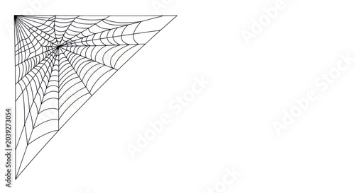 фотографія Spider web close up detail.
