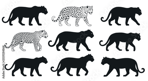 Tableau sur toile Collection of leopard silhouettes walking.